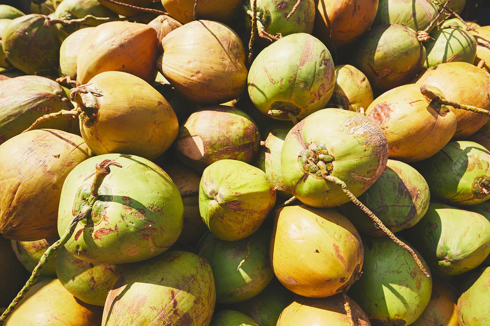 Heap of coconuts